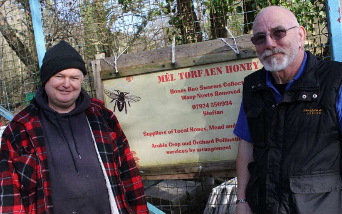 Mel's bees