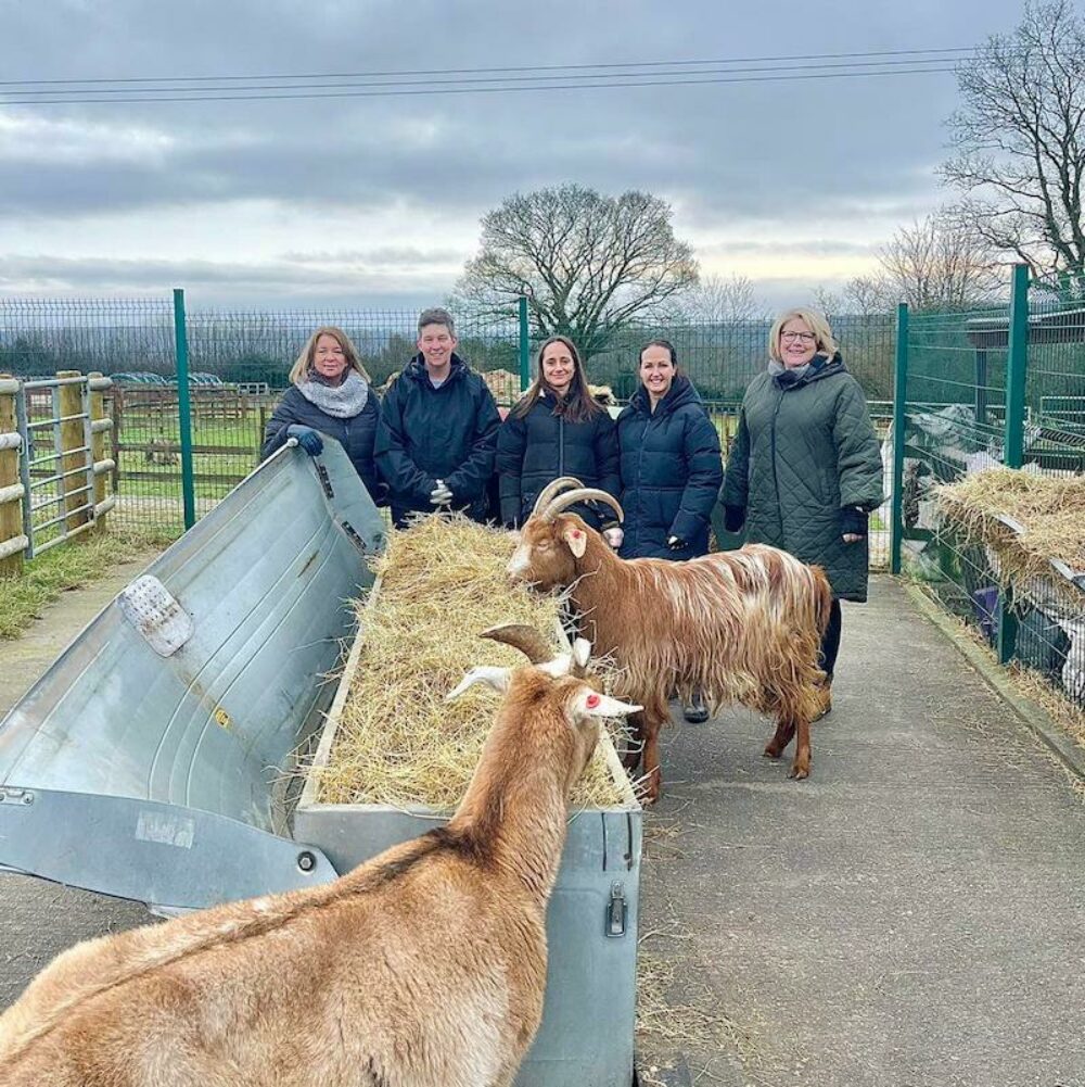 A picture of our volunteers at All Creatures Great and Small