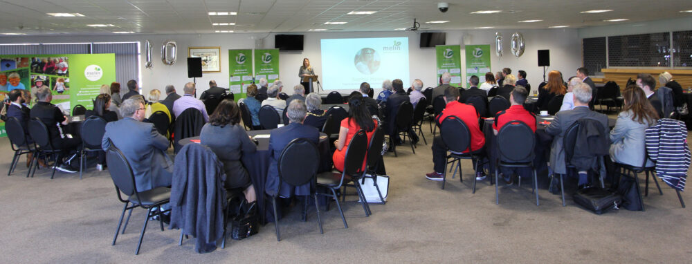 celebrations of our 10th birthday