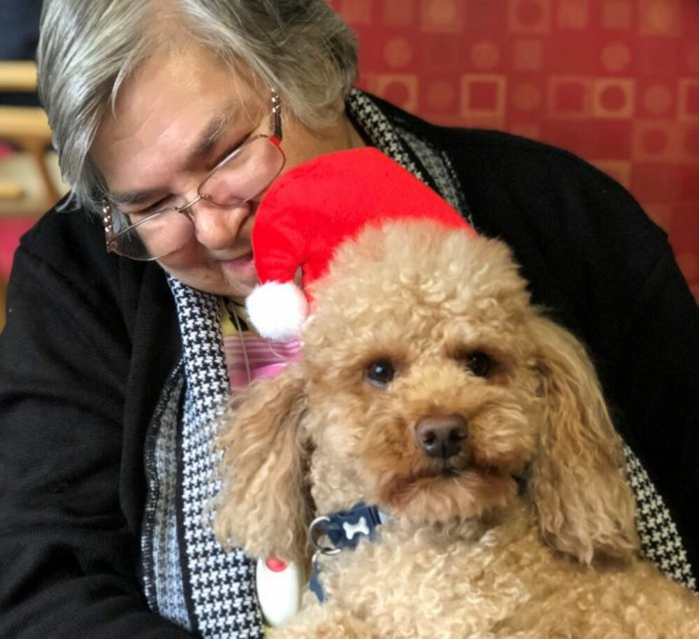 Rudy the poodle pet therapy