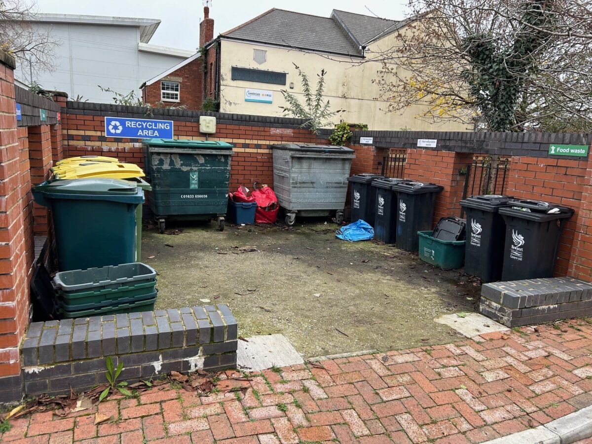 A photo of a well organised and tidy bin store